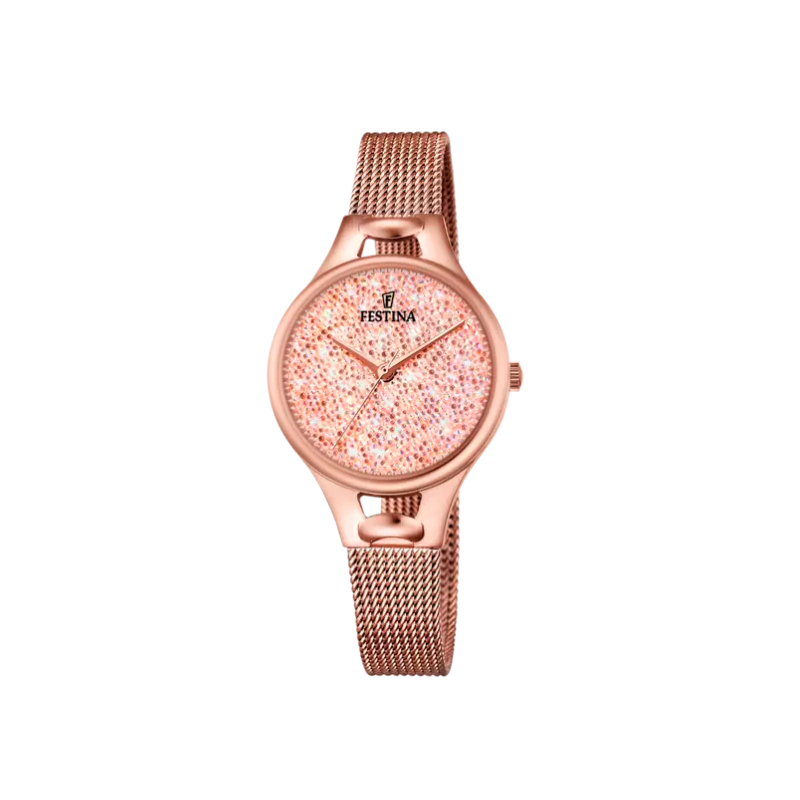 FESTINA -Orologio Cassa In Acciaio Inossidabile